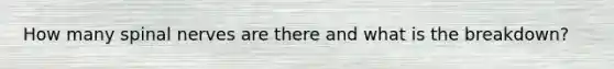 How many spinal nerves are there and what is the breakdown?