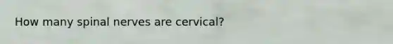 How many <a href='https://www.questionai.com/knowledge/kyBL1dWgAx-spinal-nerves' class='anchor-knowledge'>spinal nerves</a> are cervical?