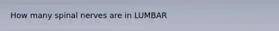 How many spinal nerves are in LUMBAR