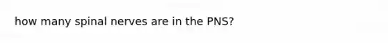 how many spinal nerves are in the PNS?