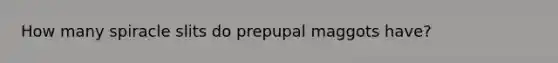 How many spiracle slits do prepupal maggots have?