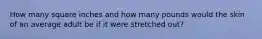 How many square inches and how many pounds would the skin of an average adult be if it were stretched out?