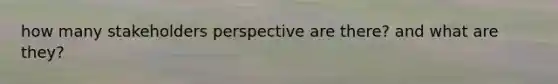 how many stakeholders perspective are there? and what are they?