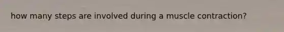how many steps are involved during a muscle contraction?