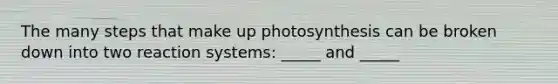 The many steps that make up photosynthesis can be broken down into two reaction systems: _____ and _____