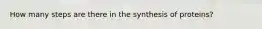 How many steps are there in the synthesis of proteins?