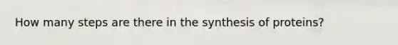 How many steps are there in the synthesis of proteins?