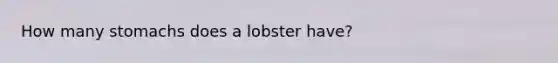 How many stomachs does a lobster have?