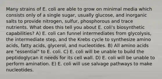 Many strains of E. coli are able to grow on minimal media which consists only of a single sugar, usually glucose, and inorganic salts to provide nitrogen, sulfur, phosphorous and trace nutrients. What does this tell you about E. coli's biosynthetic capabilities? A) E. coli can funnel intermediates from glycolysis, the intermediate step, and the Krebs cycle to synthesize amino acids, fatty acids, glycerol, and nucleotides. B) All amino acids are "essential" to E. coli. C) E. coli will be unable to build the peptidoglycan it needs for its cell wall. D) E. coli will be unable to perform amination. E) E. coli will use salvage pathways to make nucleotides.