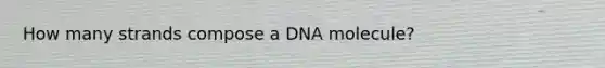 How many strands compose a DNA molecule?