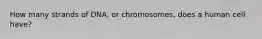 How many strands of DNA, or chromosomes, does a human cell have?