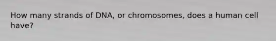 How many strands of DNA, or chromosomes, does a human cell have?