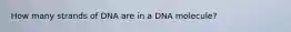 How many strands of DNA are in a DNA molecule?