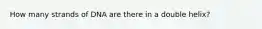 How many strands of DNA are there in a double helix?