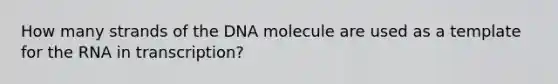 How many strands of the DNA molecule are used as a template for the RNA in transcription?