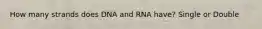 How many strands does DNA and RNA have? Single or Double