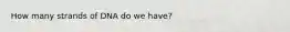 How many strands of DNA do we have?