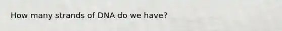How many strands of DNA do we have?