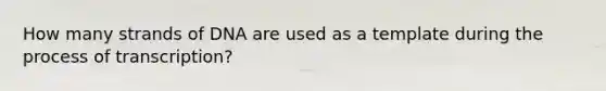How many strands of DNA are used as a template during the process of transcription?