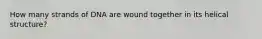 How many strands of DNA are wound together in its helical structure?