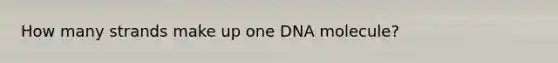 How many strands make up one DNA molecule?