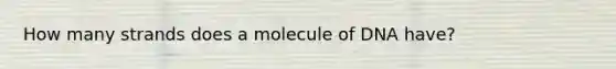 How many strands does a molecule of DNA have?