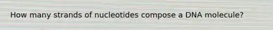 How many strands of nucleotides compose a DNA molecule?