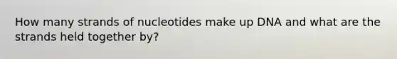 How many strands of nucleotides make up DNA and what are the strands held together by?