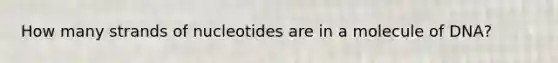 How many strands of nucleotides are in a molecule of DNA?