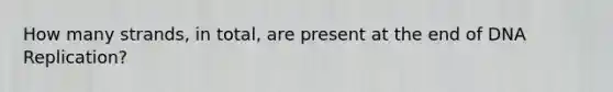 How many strands, in total, are present at the end of DNA Replication?