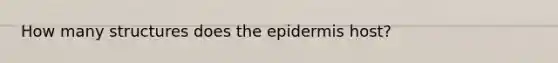 How many structures does the epidermis host?