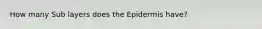 How many Sub layers does the Epidermis have?