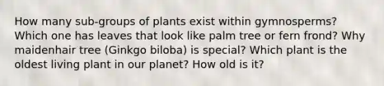 How many sub-groups of plants exist within gymnosperms? Which one has leaves that look like palm tree or fern frond? Why maidenhair tree (Ginkgo biloba) is special? Which plant is the oldest living plant in our planet? How old is it?