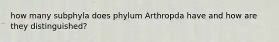 how many subphyla does phylum Arthropda have and how are they distinguished?