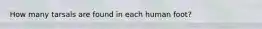 How many tarsals are found in each human foot?