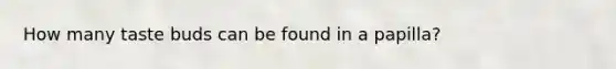 How many taste buds can be found in a papilla?
