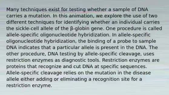 Many techniques exist for testing whether a sample of DNA carries a mutation. In this animation, we explore the use of two different techniques for identifying whether an individual carries the sickle-cell allele of the β-globin gene. One procedure is called allele-specific oligonucleotide hybridization. In allele-specific oligonucleotide hybridization, the binding of a probe to sample DNA indicates that a particular allele is present in the DNA. The other procedure, DNA testing by allele-specific cleavage, uses restriction enzymes as diagnostic tools. Restriction enzymes are proteins that recognize and cut DNA at specific sequences. Allele-specific cleavage relies on the mutation in the disease allele either adding or eliminating a recognition site for a restriction enzyme.