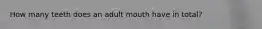 How many teeth does an adult mouth have in total?