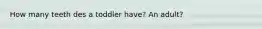 How many teeth des a toddler have? An adult?