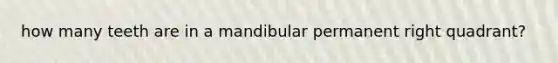 how many teeth are in a mandibular permanent right quadrant?