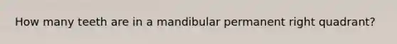 How many teeth are in a mandibular permanent right quadrant?