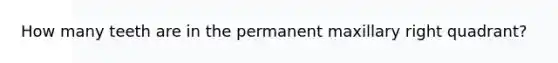 How many teeth are in the permanent maxillary right quadrant?