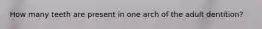 How many teeth are present in one arch of the adult dentition?