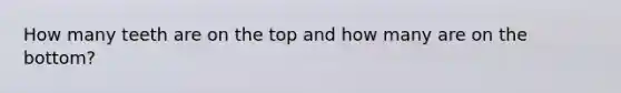 How many teeth are on the top and how many are on the bottom?
