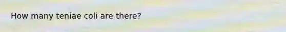 How many teniae coli are there?
