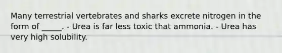 Many terrestrial vertebrates and sharks excrete nitrogen in the form of _____. - Urea is far less toxic that ammonia. - Urea has very high solubility.