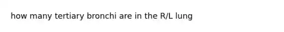 how many tertiary bronchi are in the R/L lung