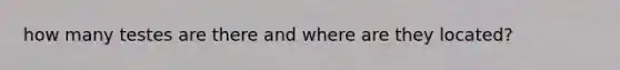 how many testes are there and where are they located?