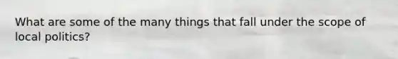 What are some of the many things that fall under the scope of local politics?