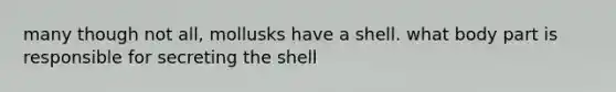 many though not all, mollusks have a shell. what body part is responsible for secreting the shell